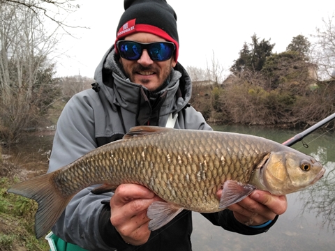 Pesca invernale del cavedano a passata