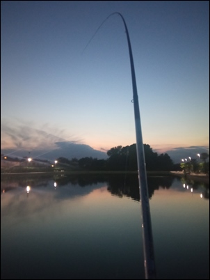 Pesca di notte con la Bolognese al Lago Azzurro di Peraga