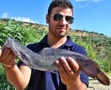 Pesci gatto e storioni al Lago Elena di Lavello