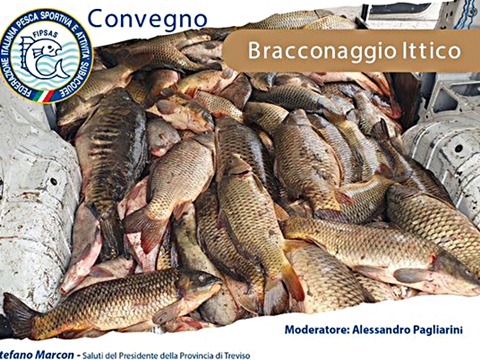 Convegno bracconaggio ittico a Treviso
